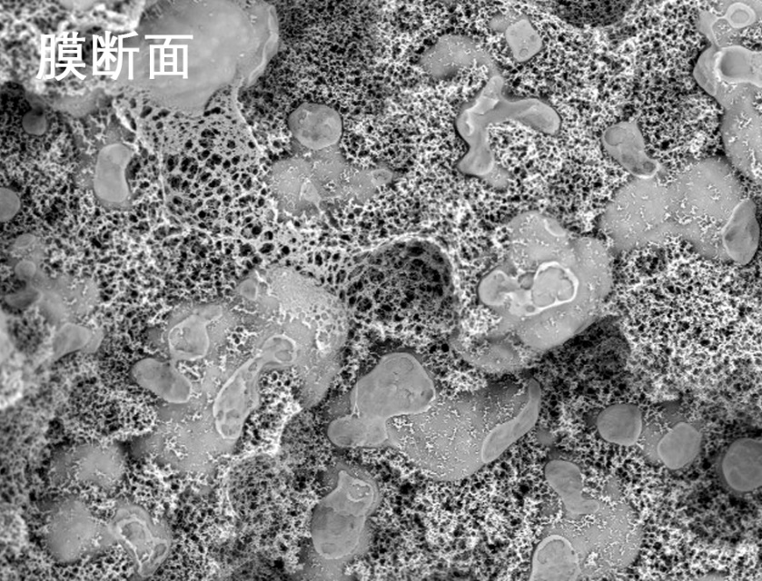 优德88烧结管式膜电镜照片